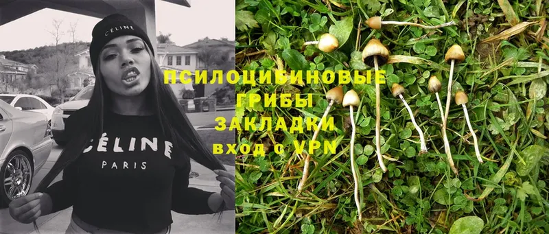 Галлюциногенные грибы Magic Shrooms  ссылка на мегу зеркало  Баймак 